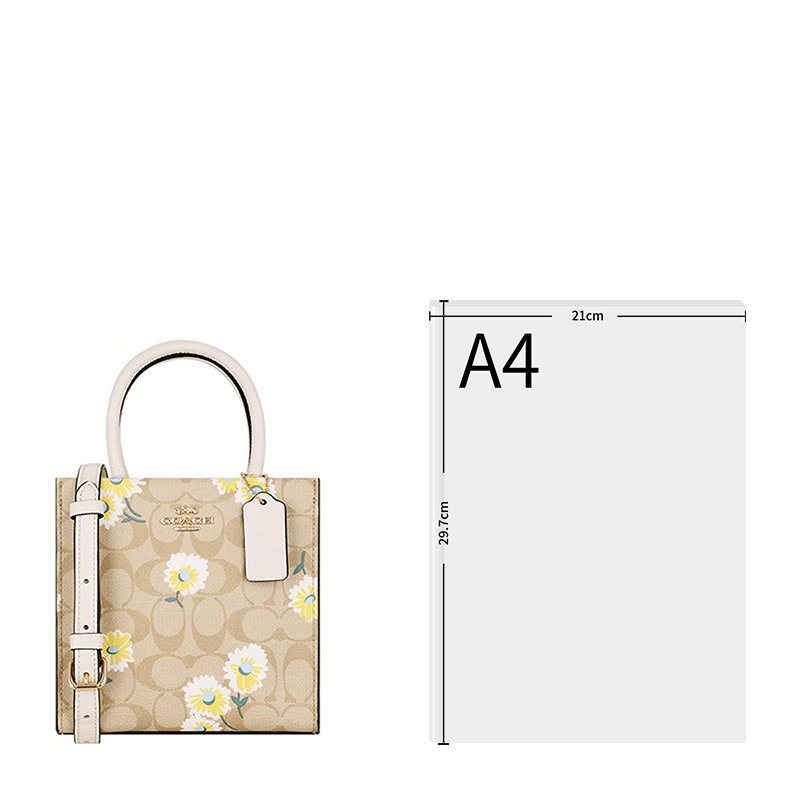 DIOR Caro 中号 米白 2024